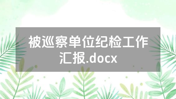 被巡察单位纪检工作汇报.docx