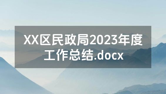 XX区民政局2023年度工作总结.docx