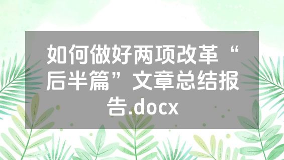 如何做好两项改革“后半篇”文章总结报告.docx