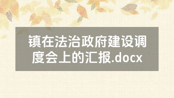 镇在法治政府建设调度会上的汇报.docx