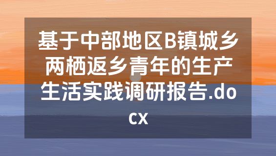 基于中部地区B镇城乡两栖返乡青年的生产生活实践调研报告.docx