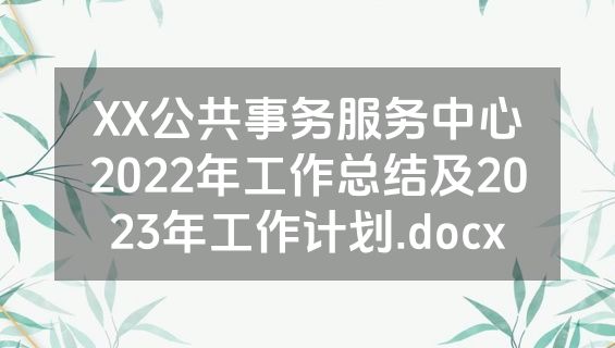 XX公共事务服务中心2022年工作总结及2023年工作计划.docx