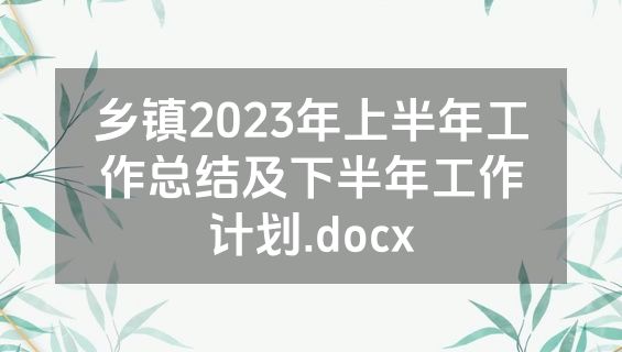 乡镇2023年上半年工作总结及下半年工作计划.docx
