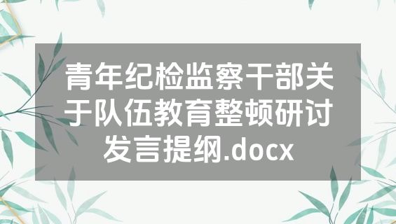 青年纪检监察干部关于队伍教育整顿研讨发言提纲.docx