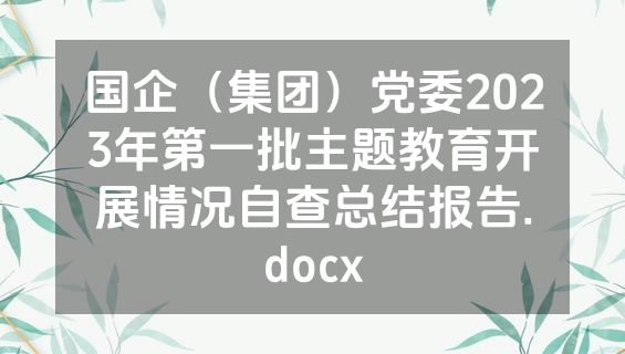 国企（集团）党委2023年第一批主题教育开展情况自查总结报告.docx