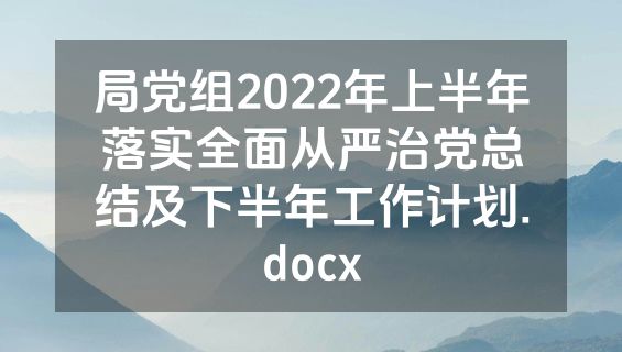 局党组2022年上半年落实全面从严治党总结及下半年工作计划.docx