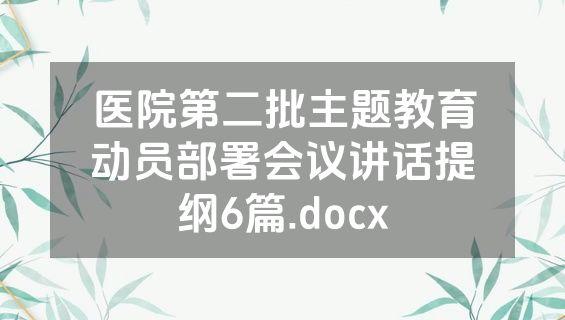 医院第二批主题教育动员部署会议讲话提纲6篇.docx