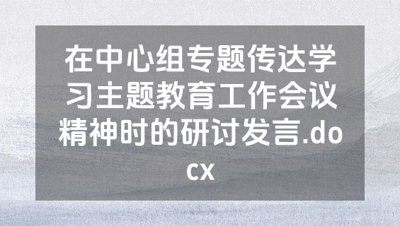 在中心组专题传达学习主题教育工作会议精神时的研讨发言.docx