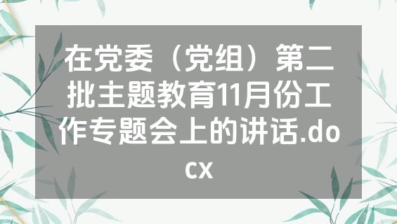 在党委（党组）第二批主题教育11月份工作专题会上的讲话.docx