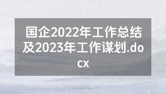 国企2022年工作总结及2023年工作谋划.docx