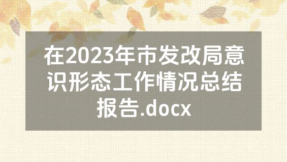 在2023年市发改局意识形态工作情况总结报告.docx