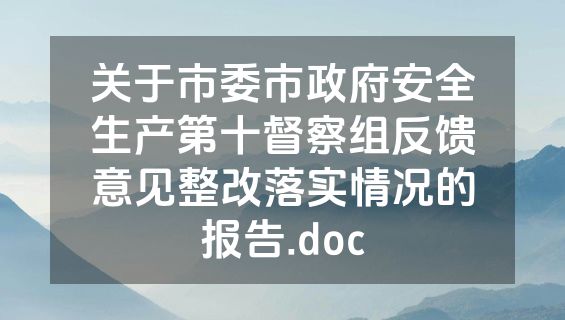关于市委市政府安全生产第十督察组反馈意见整改落实情况的报告.doc