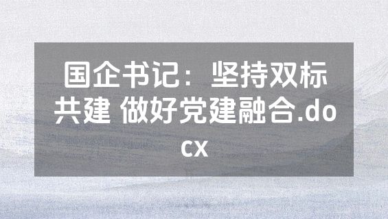 国企书记：坚持双标共建 做好党建融合.docx