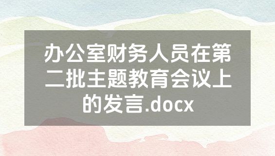 办公室财务人员在第二批主题教育会议上的发言.docx