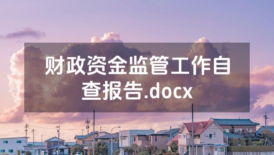 财政资金监管工作自查报告.docx
