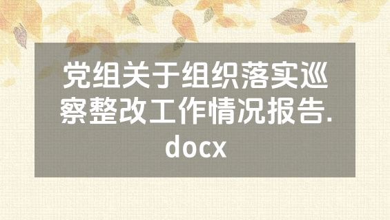 党组关于组织落实巡察整改工作情况报告.docx