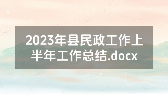 2023年县民政工作上半年工作总结.docx