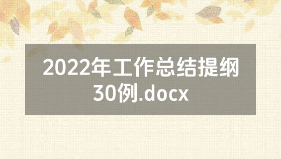 2022年工作总结提纲30例.docx