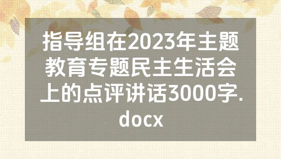 指导组在2023年主题教育专题民主生活会上的点评讲话3000字.docx