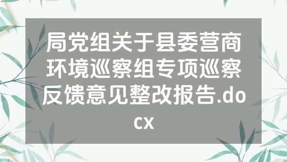 局党组关于县委营商环境巡察组专项巡察反馈意见整改报告.docx