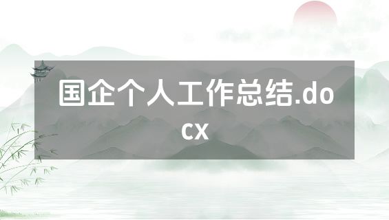 国企个人工作总结.docx