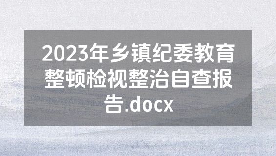 2023年乡镇纪委教育整顿检视整治自查报告.docx
