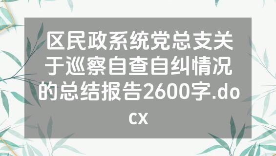 区民政系统党总支关于巡察自查自纠情况的总结报告2600字.docx