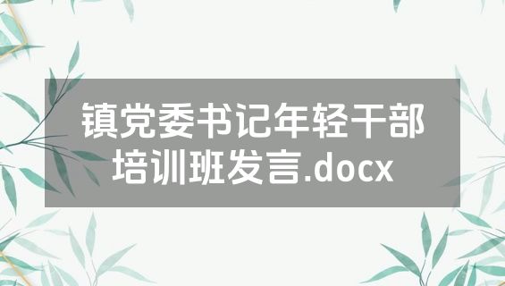 镇党委书记年轻干部培训班发言.docx