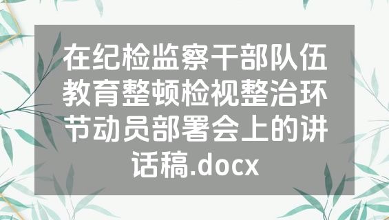 在纪检监察干部队伍教育整顿检视整治环节动员部署会上的讲话稿.docx
