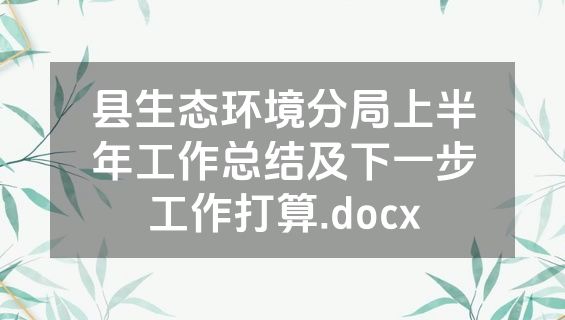 县生态环境分局上半年工作总结及下一步工作打算.docx