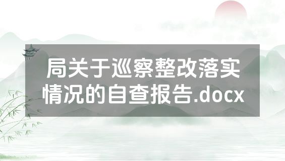 局关于巡察整改落实情况的自查报告.docx