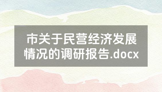 市关于民营经济发展情况的调研报告.docx