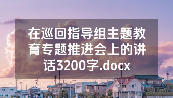 在巡回指导组主题教育专题推进会上的讲话3200字.docx