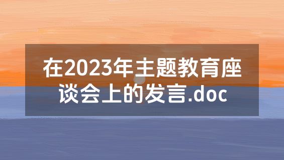 在2023年主题教育座谈会上的发言.doc