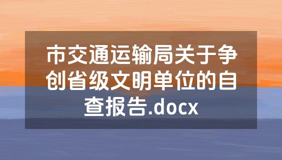 市交通运输局关于争创省级文明单位的自查报告.docx