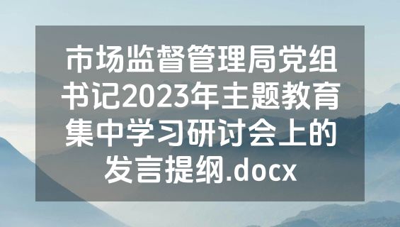 市场监督管理局党组书记2023年主题教育集中学习研讨会上的发言提纲.docx