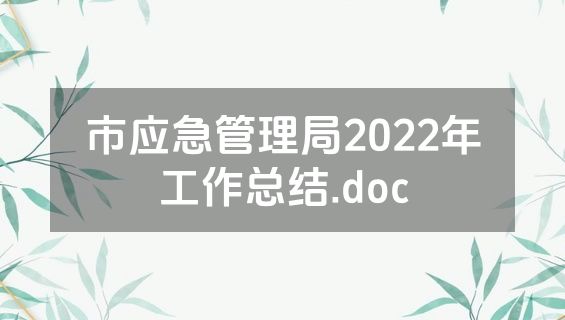 市应急管理局2022年工作总结.doc