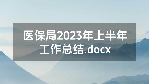 医保局2023年上半年工作总结.docx