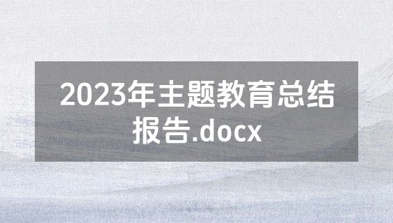 2023年主题教育总结报告.docx
