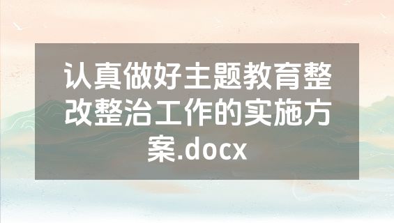 认真做好主题教育整改整治工作的实施方案.docx