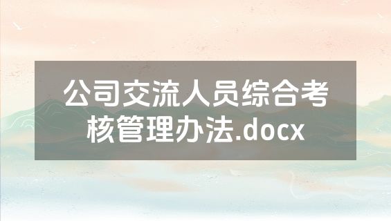 公司交流人员综合考核管理办法.docx