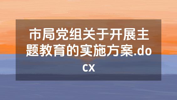 市局党组关于开展主题教育的实施方案.docx