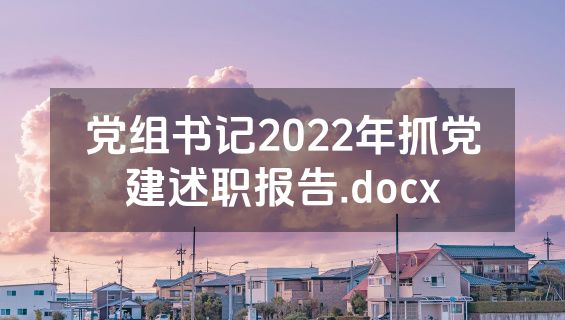 党组书记2022年抓党建述职报告.docx
