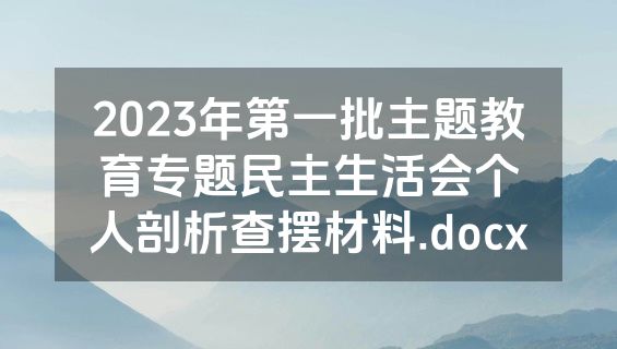 2023年第一批主题教育专题民主生活会个人剖析查摆材料.docx