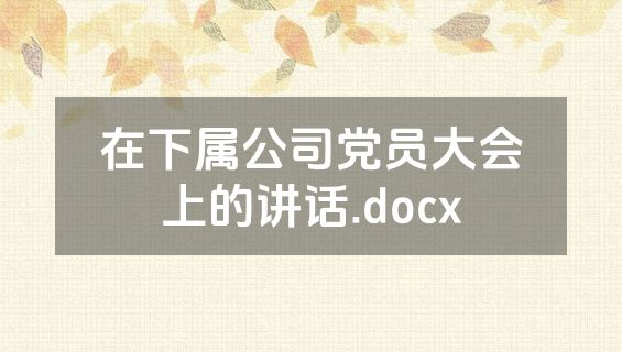 在下属公司党员大会上的讲话.docx