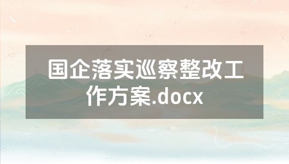 国企落实巡察整改工作方案.docx