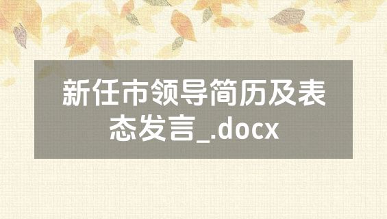 新任市领导简历及表态发言_.docx