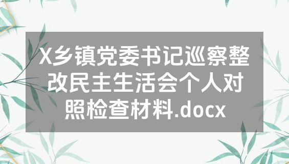 X乡镇党委书记巡察整改民主生活会个人对照检查材料.docx