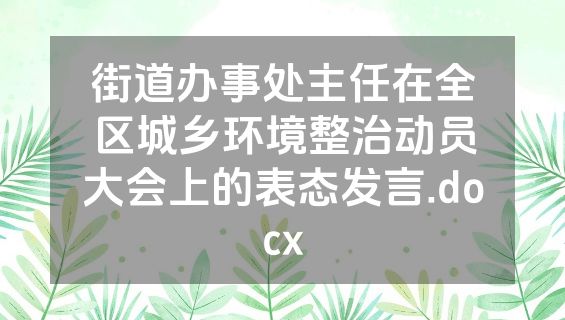 街道办事处主任在全区城乡环境整治动员大会上的表态发言.docx