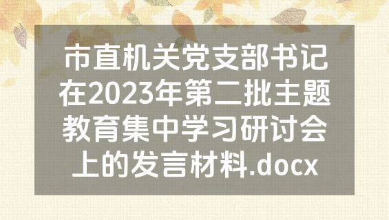 市直机关党支部书记在2023年第二批主题教育集中学习研讨会上的发言材料.docx